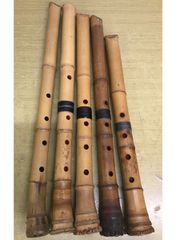 Item thumbnail for item ff0d7595-2547-491d-af0f-063ce61e54ed