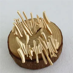 種類2：写真色/1点 ビンテージデザインブローチ (T)