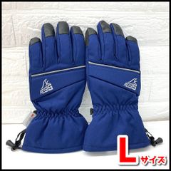 Workman AEGIS Gloves for Skiing/Snowboarding, Winter Sports, Navy, Size: L, Used, As Is, NMT1-004-08