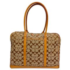 Item thumbnail for item 93933ab2-845a-4849-9b07-dd533e1db05d