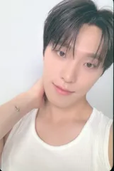 SEVENTEEN 17 IS RIGHT HERE DINO トレーディングカード DEAR