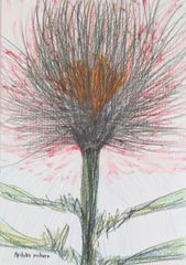 絵画 人物画 手描き 原画 アート ドローイング Amazon.co.jp: 人物画 原画 絵画 イラスト ドローイング 芸術 現代