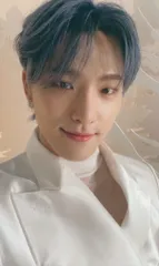 SEVENTEEN 初回限定映像盤 DINO あいのちから