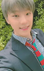 SEVENTEEN The Poet DINO An Ode 茶