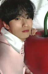 【中古】コレクションカード(男性) INI/許豊凡/CD「THE WINTER MAGIC」(Cake ver.)(YRCS-90270)初回プレス限定封入特典セルカトレーディングカード