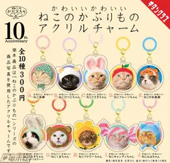 【送料無料】かわいい かわいい ねこのかぶりもの アクリルチャーム★全10種コンプリート