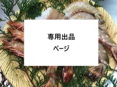 お洒落猫様専用出品