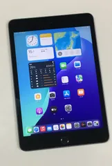 【動作確認・初期化済み】超美品 電池100％ SIMフリー Apple iPad mini 第5世代 64GB スペースグレイ