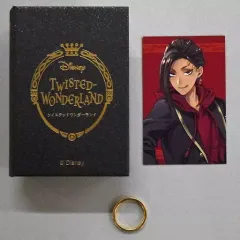 【中古】銀製品・指輪・アクセサリー(キャラクター) ジャミル・バイパー フラットシルバーリング 17号 「ディズニー ツイステッドワンダーランド」