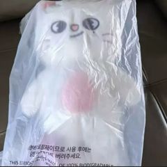 スングァン ぬいぐるみ 10cm 新品 マスター セブチ svt - メルカリ