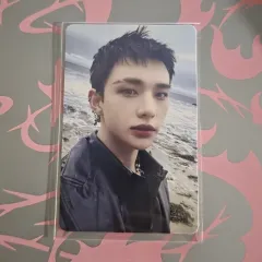 straykids GO生アラジン特典★ヒョンジン Straykids スキズ go生 限定盤 ヒョンジン トレカ アルバム straykids