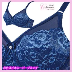 2025年最新】シャンデール ブラジャーの人気アイテム - メルカリ