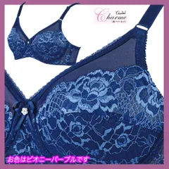 シャンデールサファイアブルーC85ブラジャー新品未使用 2025年最新】Yahoo!オークション -シャンデールサファイアブルーの中古