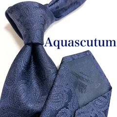 ꧁極美品꧂ アクアスキュータム ネクタイ ペイズリー フォーマル ホワイト 光沢 美品 アクアスキュータム ネクタイ ハイブランド ペイズリー柄 光沢