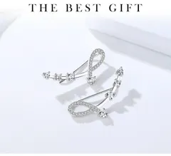 ピアス イヤリング 誕生日プレゼント プラチナ仕上 シルバー お呼ばれ 上品 czダイヤ(T)