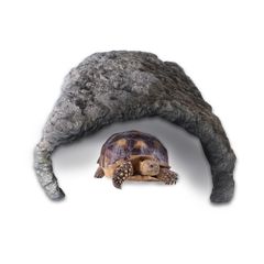 Item thumbnail for item 0b2dc495-a3d5-41a4-97e7-849cb2b3ad74