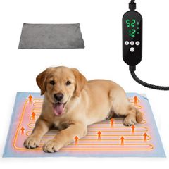 Item thumbnail for item 10e6af32-54df-4e53-a0d1-fbb4de9416f0