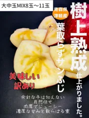 りんご専用冷蔵庫出荷🍎まだまだ新鮮です◎県外の店頭には流通しない真冬季収穫の完熟🍎【いぼりりんご】家庭用A品（小傷など含む）蜜入り混入冬ふじ３キロ　特大含む大中玉サイズ（8玉〜11玉）葉取らずサンふじ※トラブル防止の為に商品説明をご一読ください