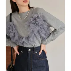 長袖チュールTシャツ (T)