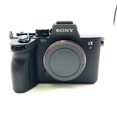 2025年最新】sonyα7ivの人気アイテム - メルカリ