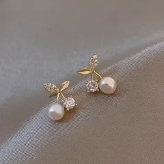 種類1：5点セット チェリー ピアス アクセサリー (T)