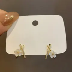 種類1：5点セット 人気ピアス 耳飾り アクセサリー (T)