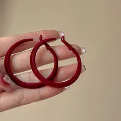 種類2：2点セット 耳飾り ピアス アクセサリー 925シルバー (T)