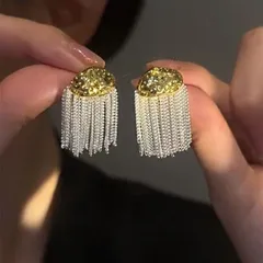 種類1：5点セット 925シルバー タッセルピアス (T)