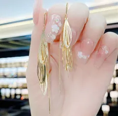 種類2：1点 ロングタイプ 925シルバー ピアス (T)