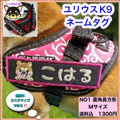 Item thumbnail for item 34635294-eccf-494c-97d4-32f79802e80a