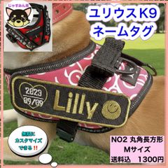 Item thumbnail for item bb524f59-0a9b-4ed9-a737-5d01d0acd093