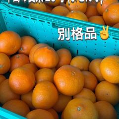 🚨正直やりすぎ価格🚨5000円→3980円｜中島産・超プレミア愛果28号