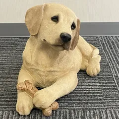 2025年最新】sandicastの人気アイテム - メルカリ