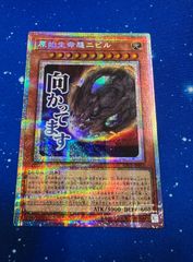 MTG 激情の後見 / Fierce Guardianship TLE ショーケース 英語版