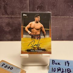 Item thumbnail for item 1bb4f739-d00e-4ff3-a844-51b9dc8a5bbc