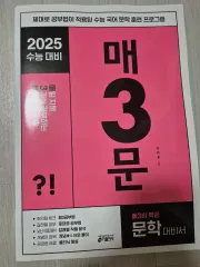 2025 매삼ムーン