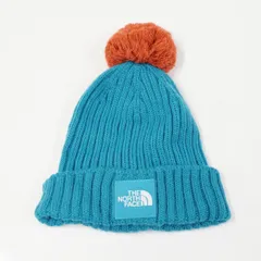 THE NORTH FACE ザ・ノース・フェイス ビーニー キッズ ニット帽 USED美品 ニットキャップ ポンポンカプッチョ NNJ42307 X8609