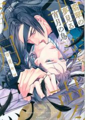 幻冬舎 リンクスコレクション 吉見キヨ 翡翠の夢見る宵月の烏