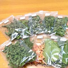 Item thumbnail for item 7f8eedd1-5ba5-43a6-b40b-16db60f745bc