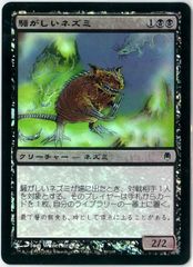 遊戯王/英語版/北米版/クッキィ☆ヤミー/Cooky☆Yummy/スターライト