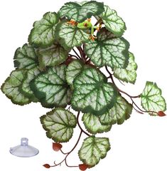 Item thumbnail for item cc20c517-8433-4530-8b92-3543f93ee75d