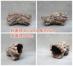 【特大】5本まとめて　バージンコルク　キャノン型 特大】5本まとめて バージンコルク キャノン型