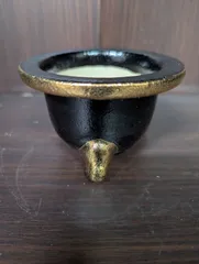 2026年最新】富貴蘭鉢の人気アイテム - メルカリ