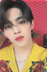 SEVENTEEN ひとりじゃない S.COUPS トレーディングカード