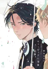 新装版　キューピッドに落雷　追撃 (光文社BL COMICS) (KOBUNSHA BL COMICS)／鈴丸みんた