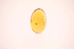 2026年最新】虫入り琥珀ペンダントの人気アイテム - メルカリ