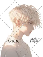 A-1636 メンズ ステッカー sticker 素材 コラージュ collage シール achashop