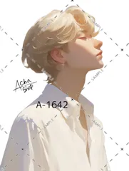 A-1642 メンズ ステッカー sticker 素材 コラージュ collage シール achashop