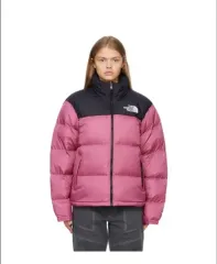 THE NORTH FACE 1996 レトロ ヌプシ (M)