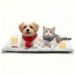 Item thumbnail for item 4d213533-eee0-48f8-aeac-b1fe12c3a6c0